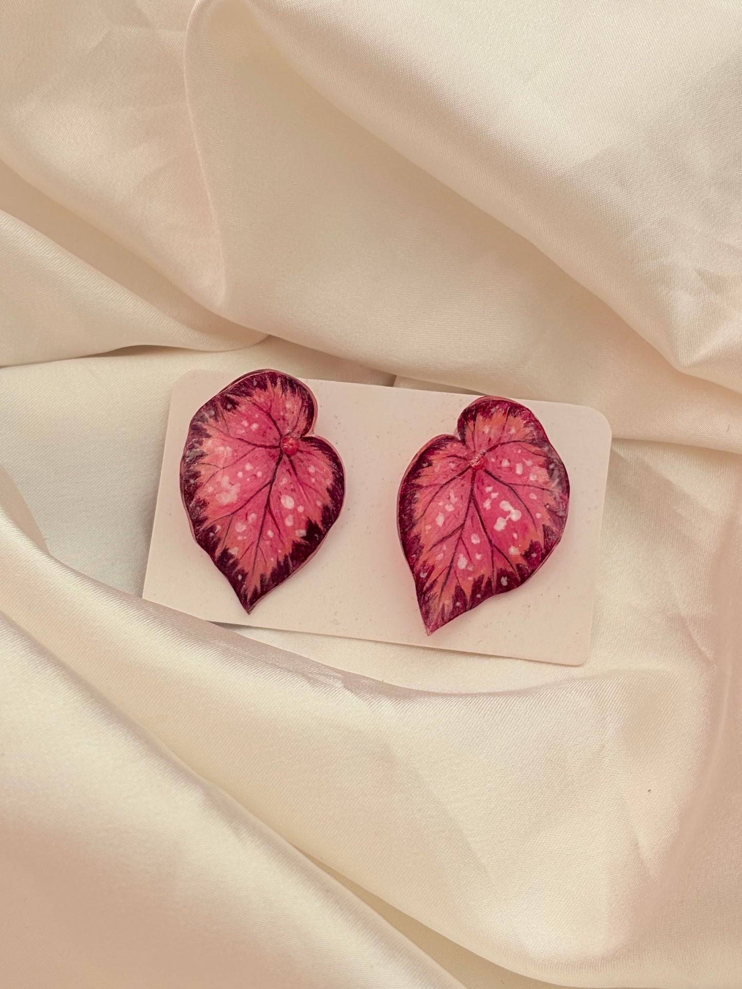 Caladium ‘Rosy Whisper”— Ohrringe