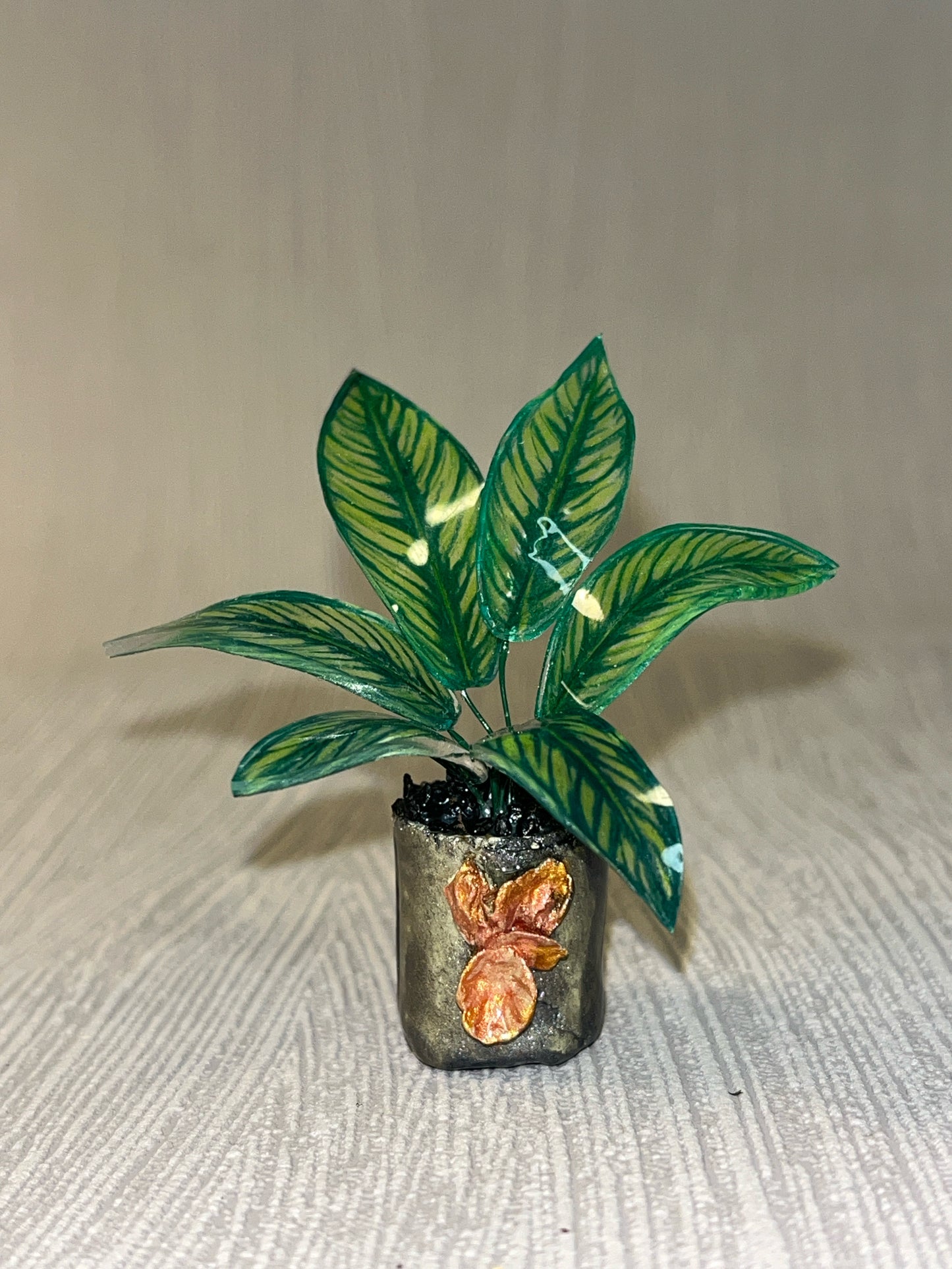 Calathea ´Camille´ – Calathea Magnet