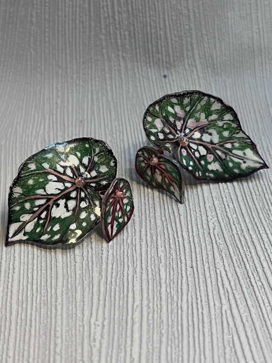 Begonia „Polka Whisper“— Ohrringe