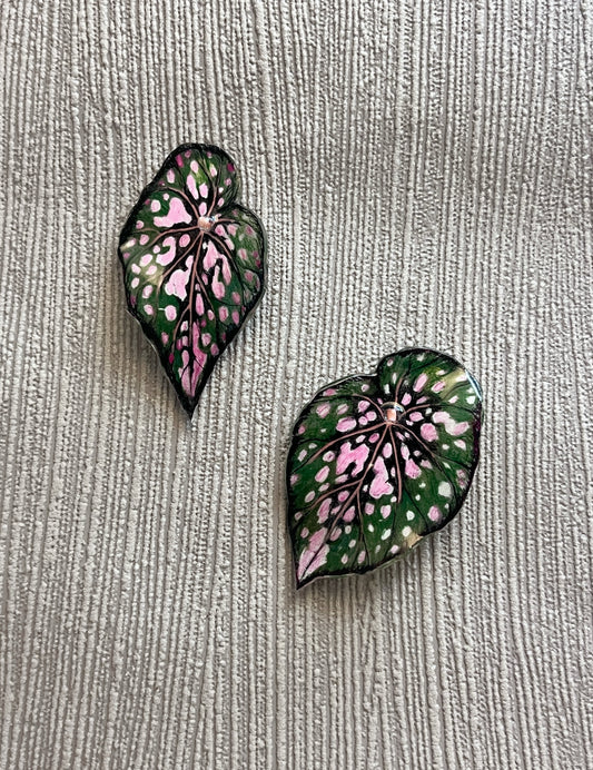 Begonia ‘Polka Dot´— Ohrringe