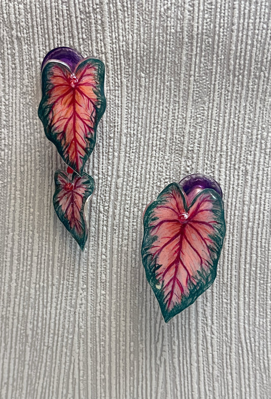 Caladium ´ Red Glamour` — Ohrringe