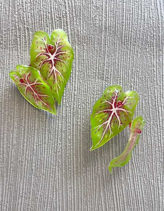 Caladium “Miss Muffet” — Ohrringe