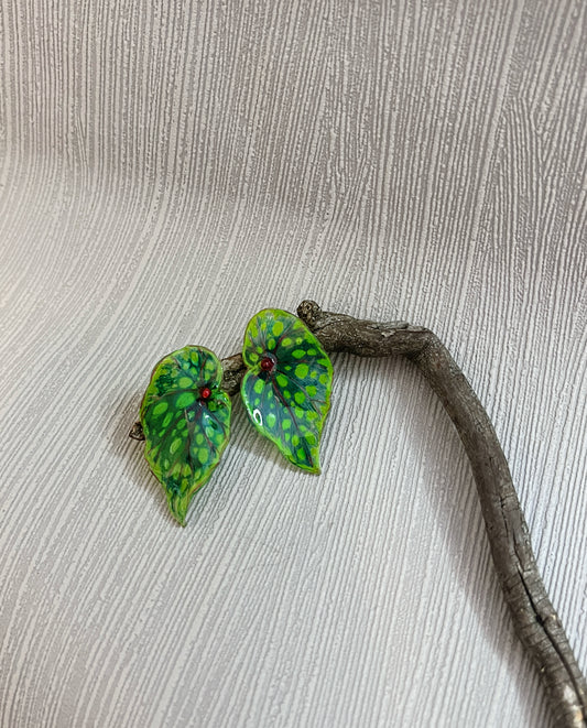 Begonia “Chlorosticta“— Ohrringe