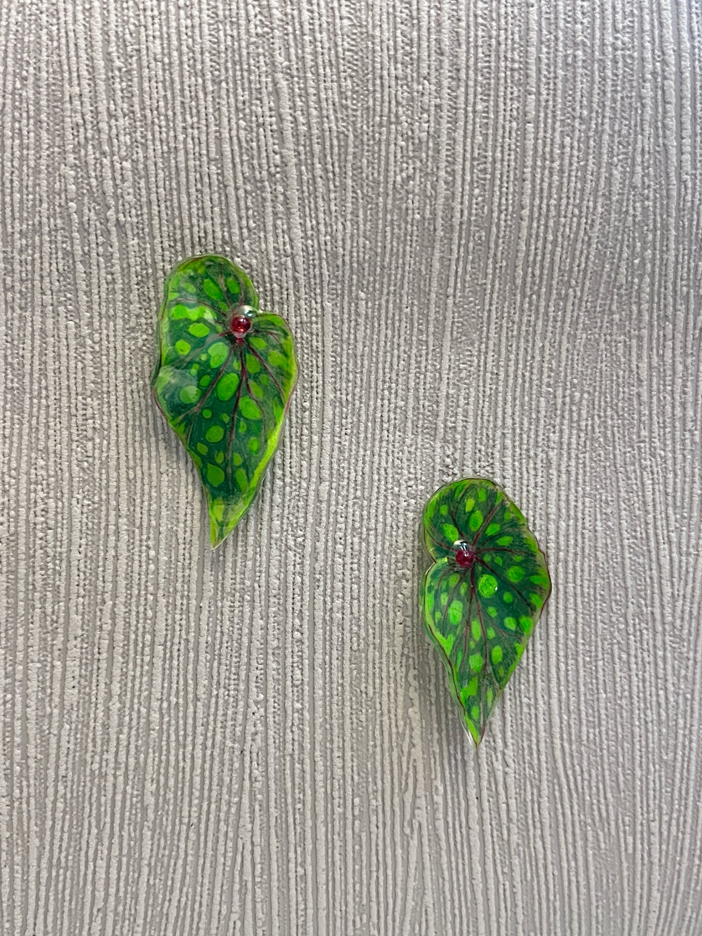 Begonia “Chlorosticta“— Ohrringe