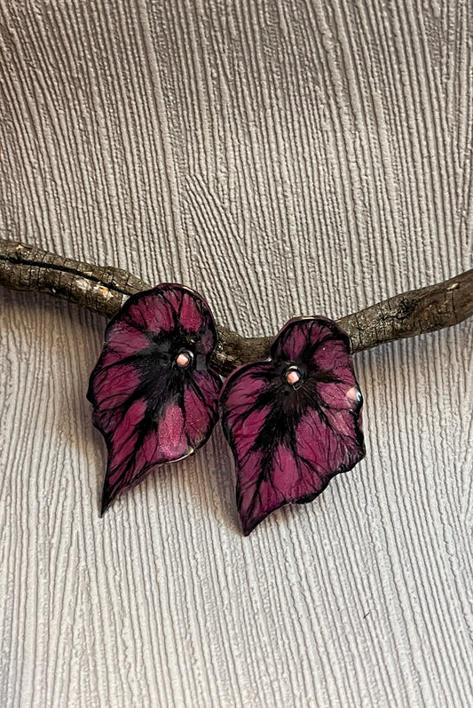 Begonia ‘Corrida’— Ohrringe