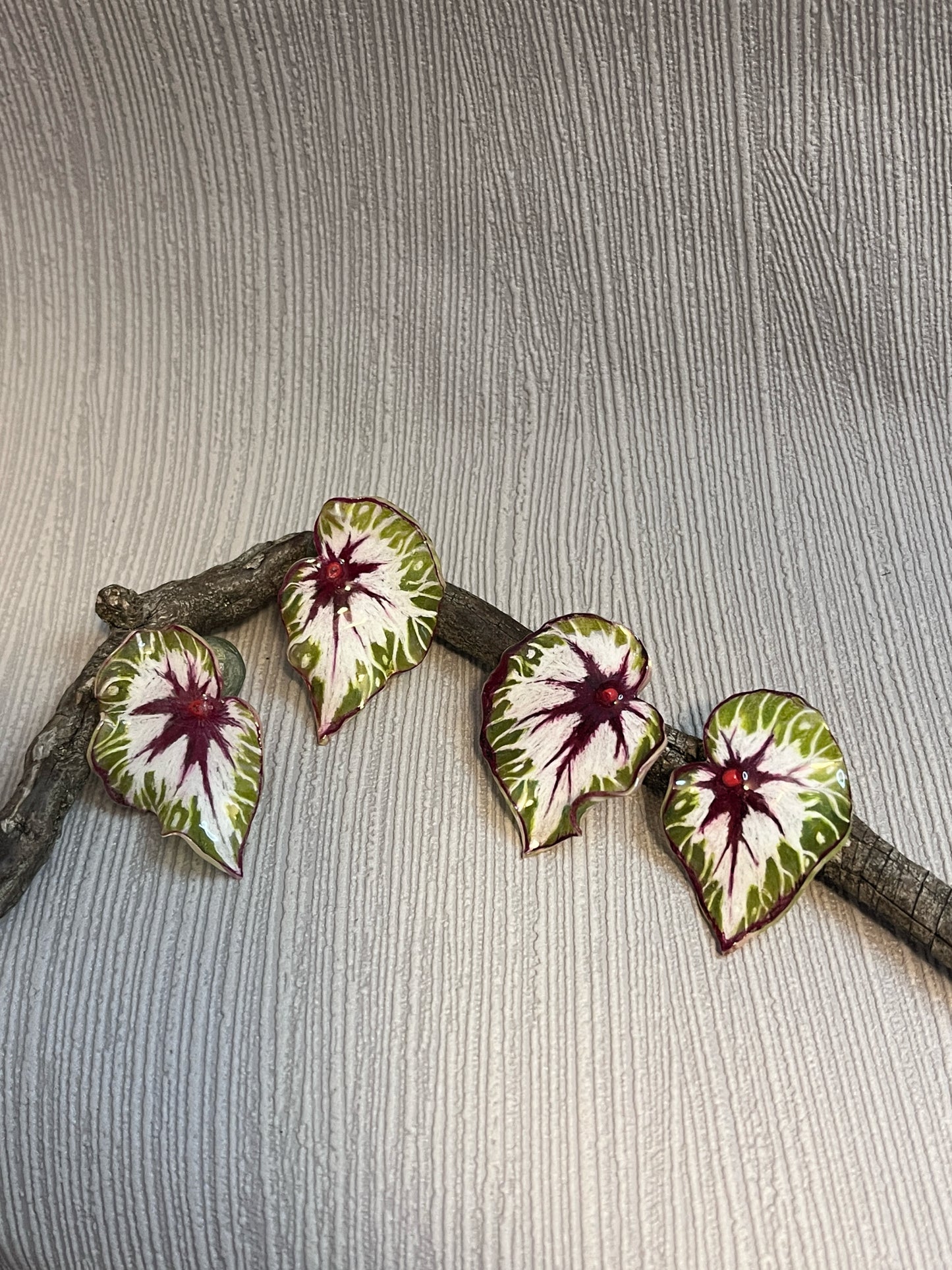 Caladium ´Sunburst Heart´— Ohrringe
