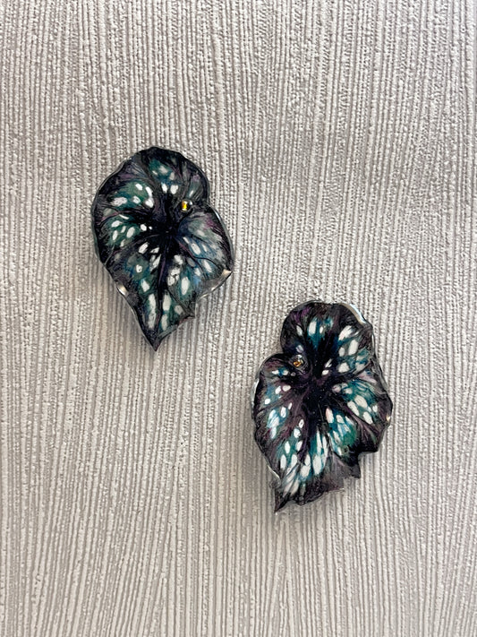 Begonia ´Midnight´— Ohrringe