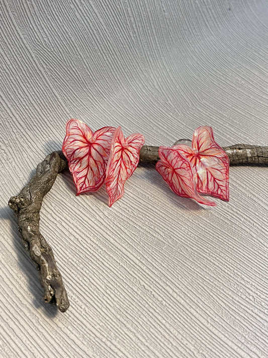 Caladium ´Pink Vein´- Ohrringe