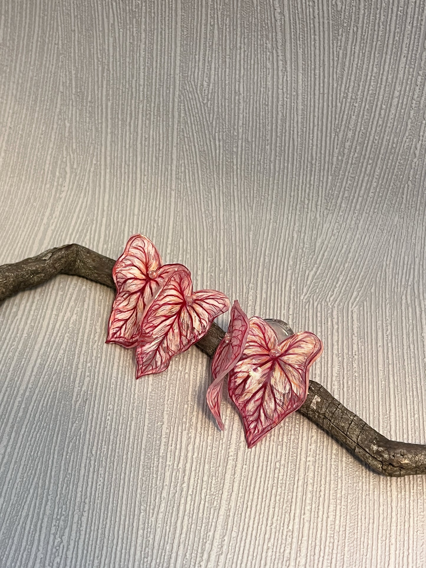 Caladium ´Pink Vein´- Ohrringe