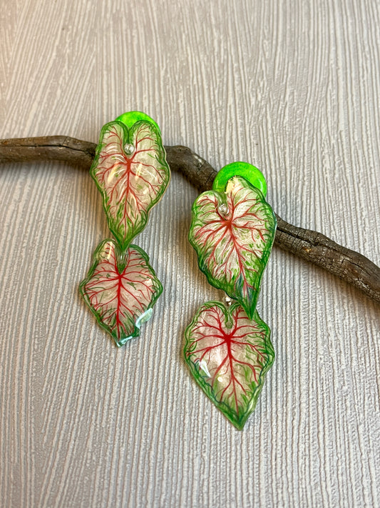 Caladium ´ White Queen` — Ohrringe