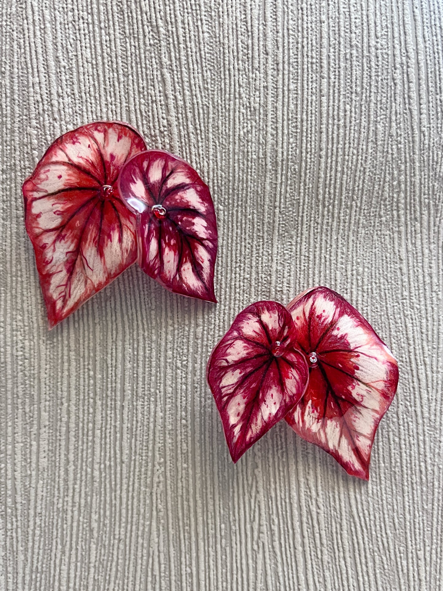 Begonia „ Tambourine “ - Earring