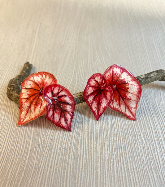 Begonia „ Tambourine “ - Earring
