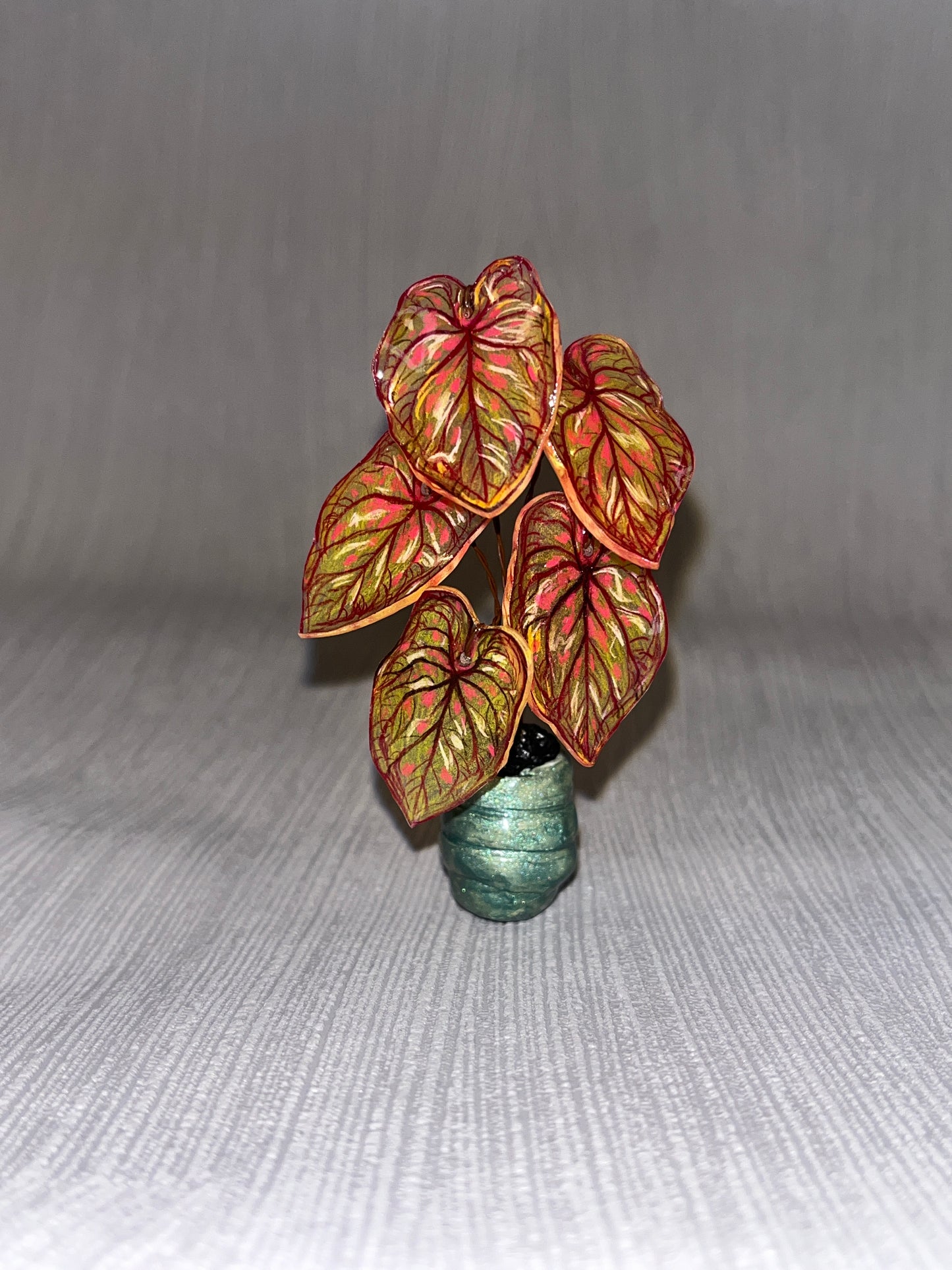 Caladium “PandoraKing” – Caladium Magnet