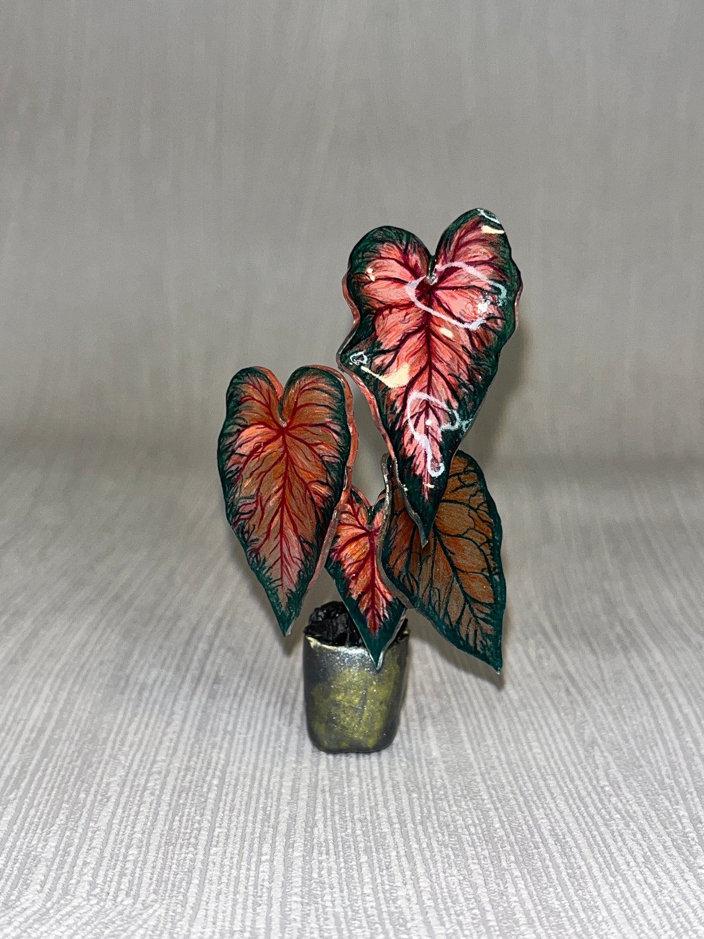 Caladium “Amber Heart” – Caladium Magnet
