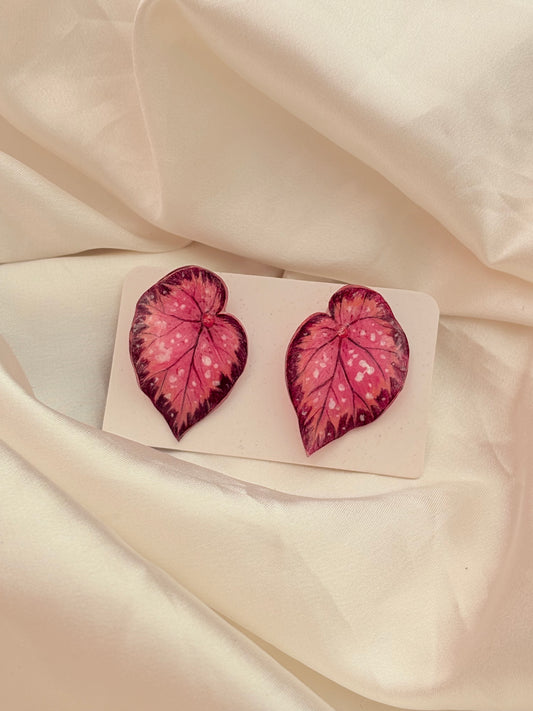 Caladium ‘Rosy Whisper”— Ohrringe