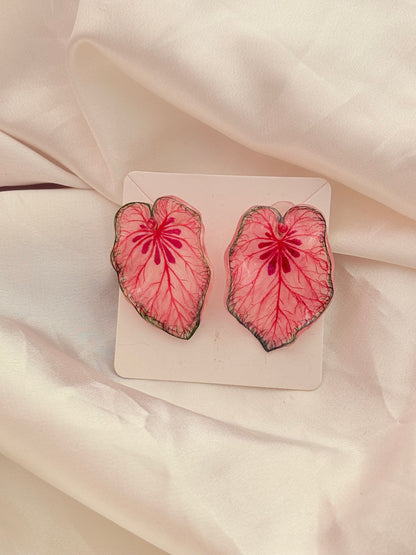 Caladium “Xplósiom"— Duo Ohrringe