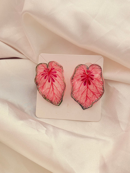 Caladium “Xplósiom"— Duo Ohrringe