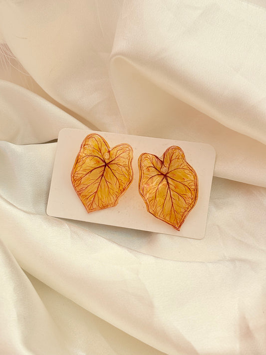 Caladium ‘Golden Sunset’— Ohrringe