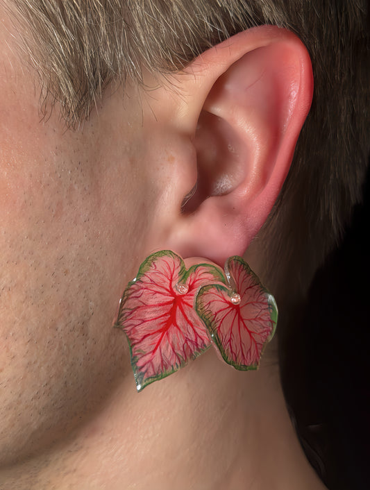 Caladium ‘Red Flash´— Ohrringe