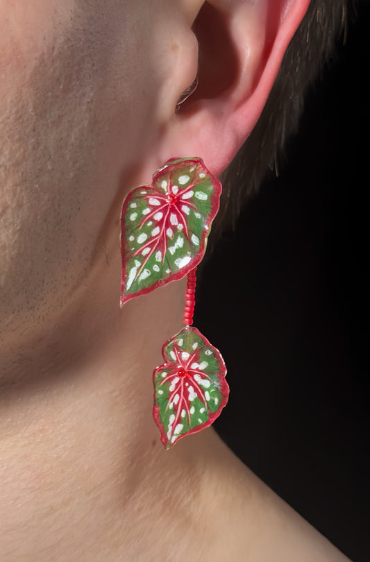 Begonia ´‘Red Maculata’´ - Ohrringe