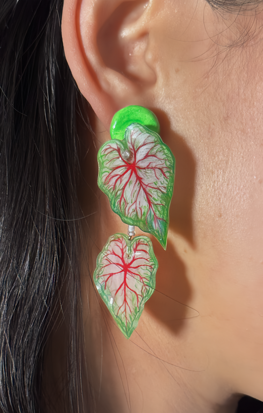 Caladium ´ White Queen` — Ohrringe