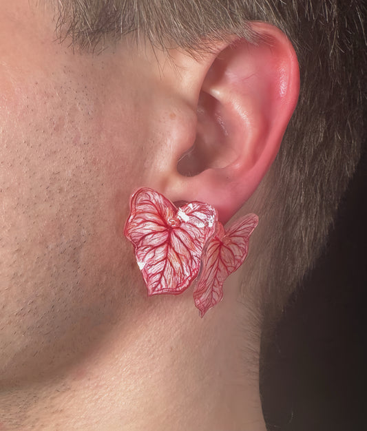 Caladium ´Pink Vein´- Ohrringe