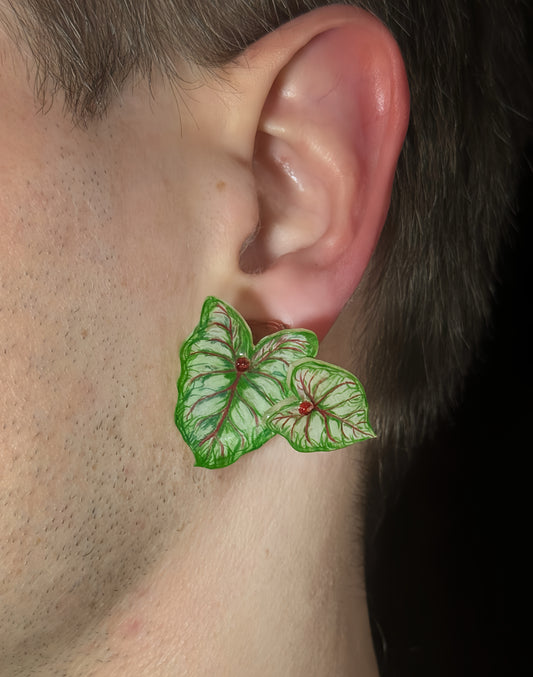Caladium „Miss MÜffet“- Ohrringe