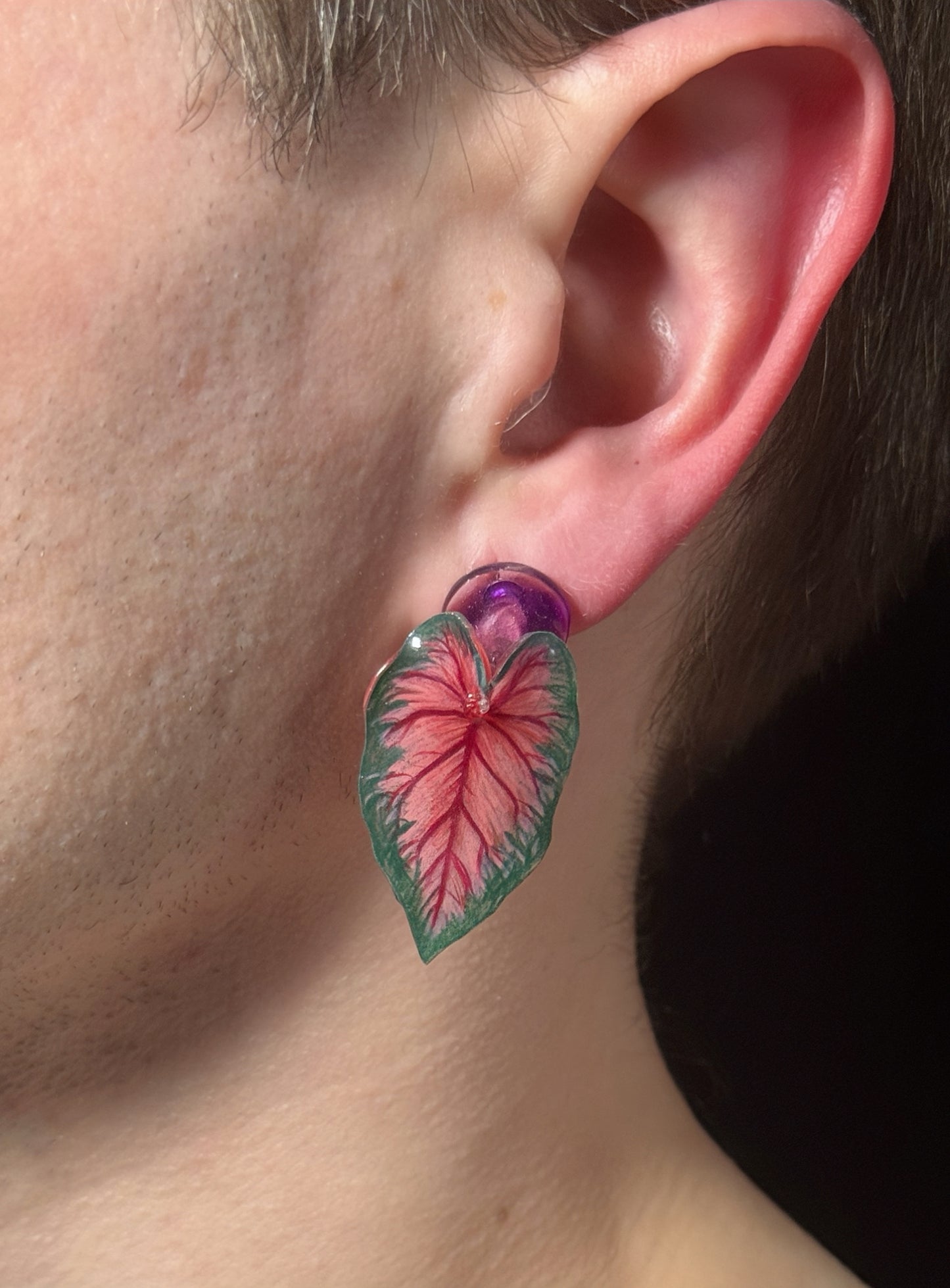 Caladium ´ Red Glamour` — Ohrringe