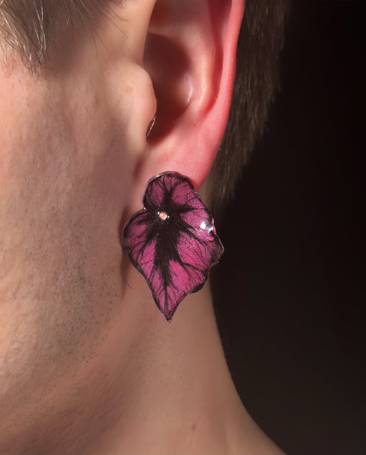 Begonia ‘Corrida’— Ohrringe