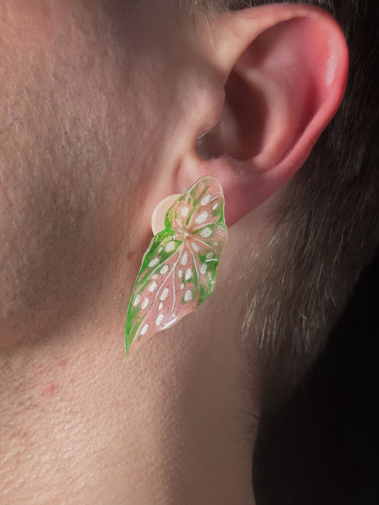 Begonia ‘Pink Mist´— Ohrringe