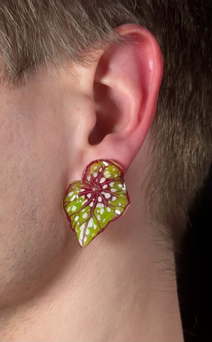 Begonia ´Frogleaf Charm´— Ohrringe
