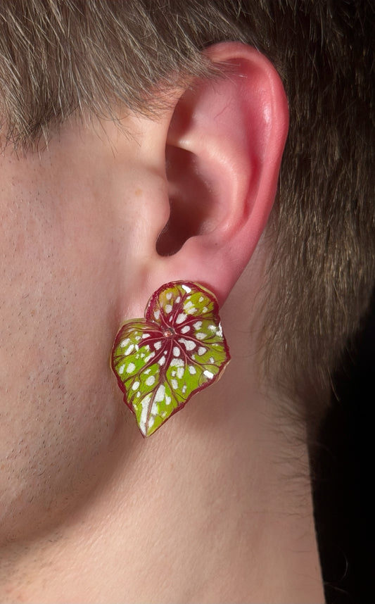 Begonia ´Frogleaf Charm´— Ohrringe