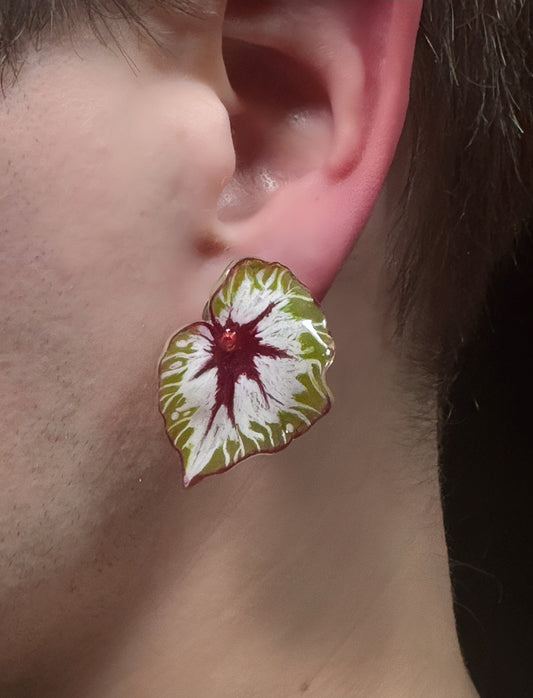 Caladium ´Sunburst Heart´— Ohrringe