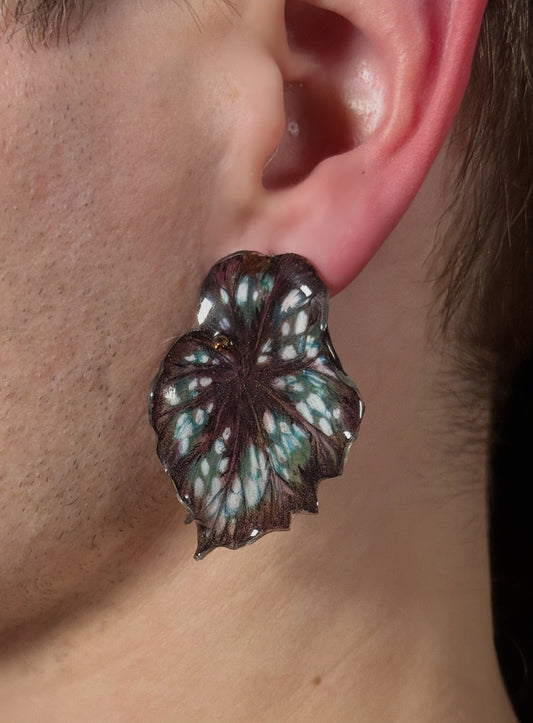 Begonia ´Midnight´— Ohrringe