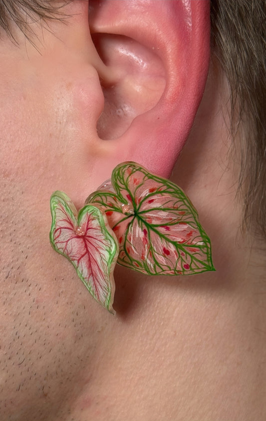 Caladium „Mixblätter“ – Duo-Ohrringe