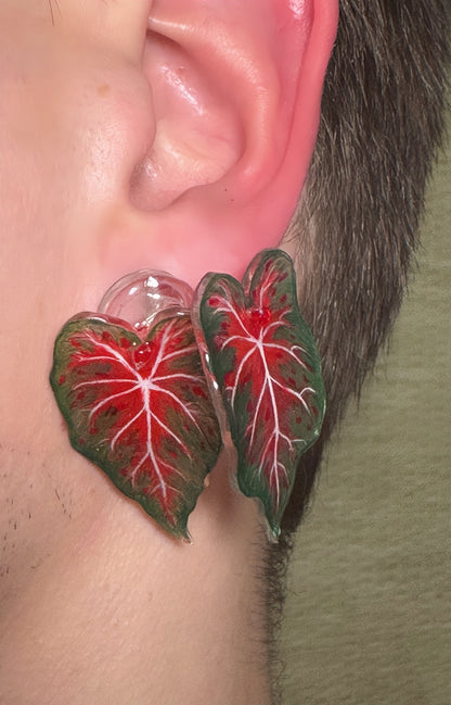 Caladium „Red Belly“- Ohrringe