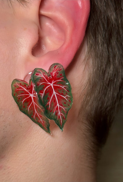 Caladium „Red Belly“- Ohrringe