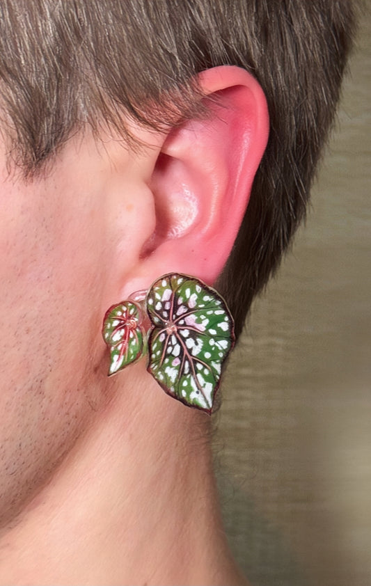 Begonia „Polka Whisper“— Ohrringe