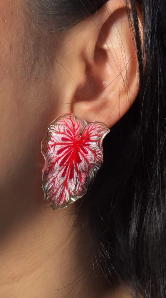 Caladium “Xplósiom"— Duo Ohrringe