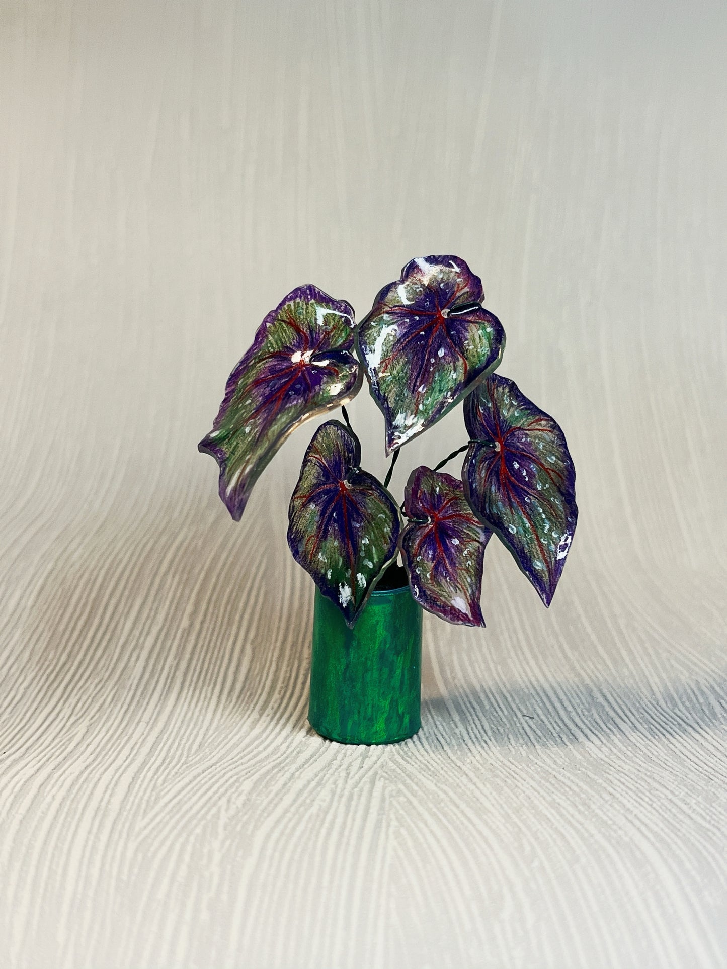 Begonia ‘African Jungle’ - Begonia Magnet