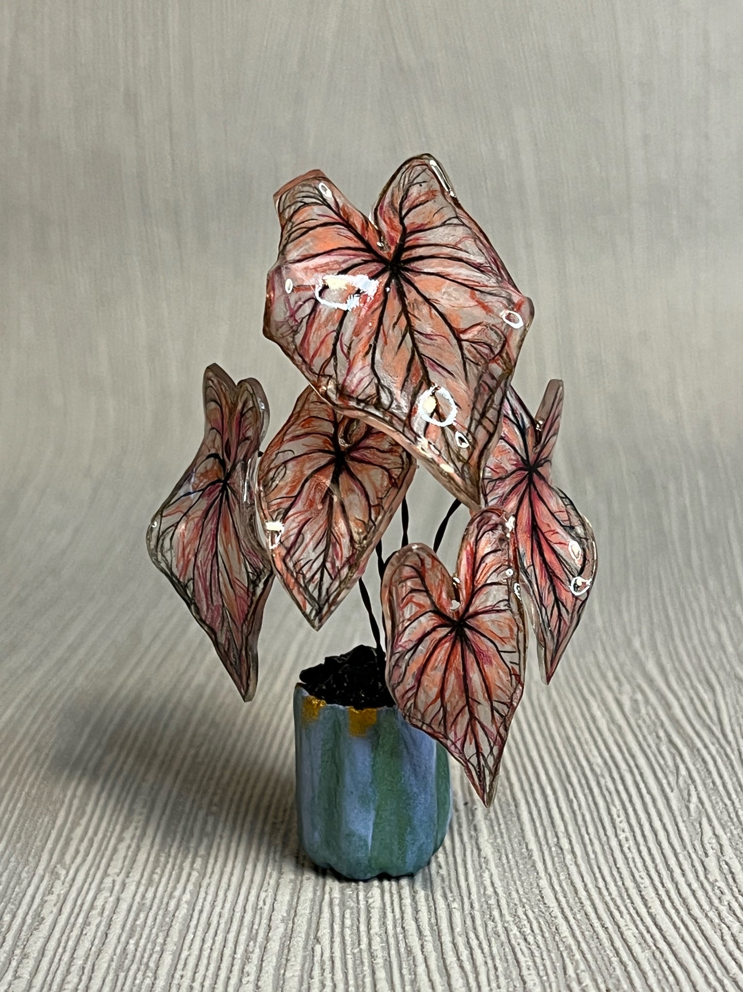Caladium “Encounter"–  Caladium Magnet