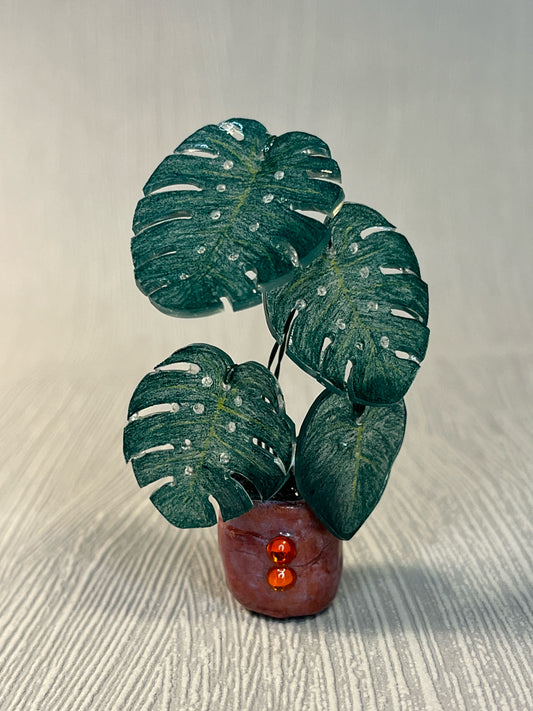 Monstera deliciosa ' Klassic' –  Monstera Magnet