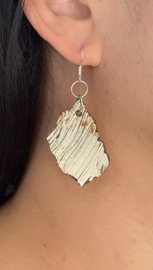 EARTH TONE — “ Echo of the Strata"