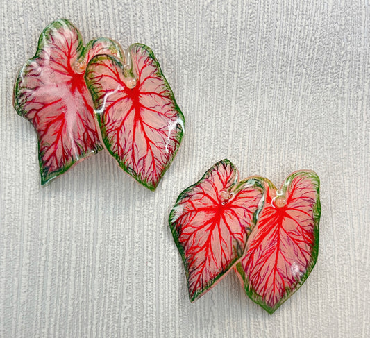 Caladium ‘Red Flash´— Ohrringe