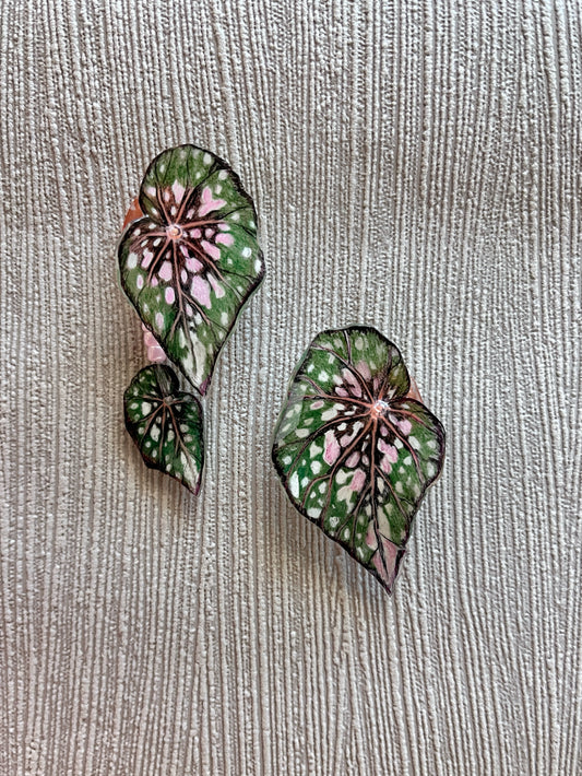 Begonia „Knisterzucker“— Drop Ohrringe