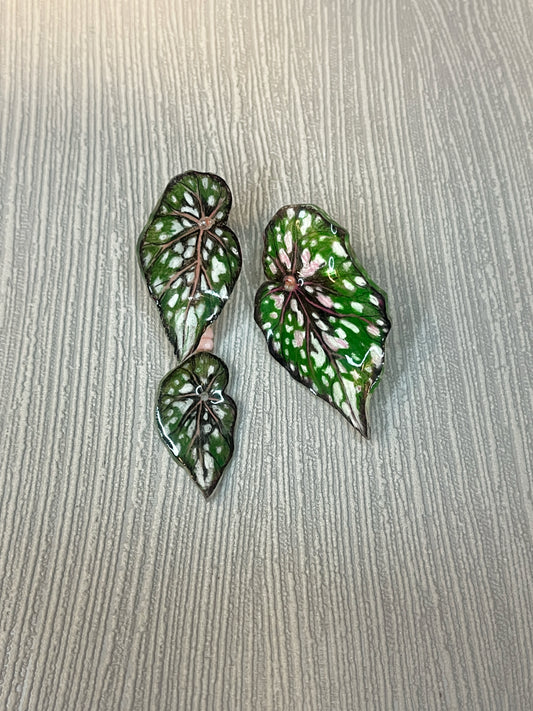 Begonia „Knisterzucker“— Drop Ohrringe