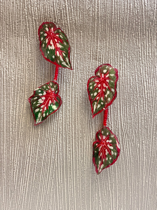 Begonia ´‘Red Maculata’´ - Ohrringe