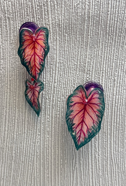 Caladium ´ Red Glamour` — Ohrringe