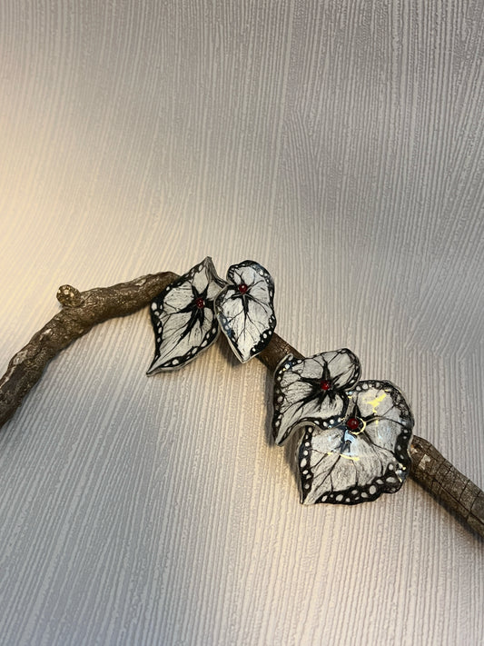 Begonia "Black Dress" — Ohrringe