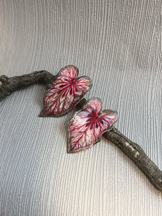 Caladium ‘Xplósiom´—Ohrringe